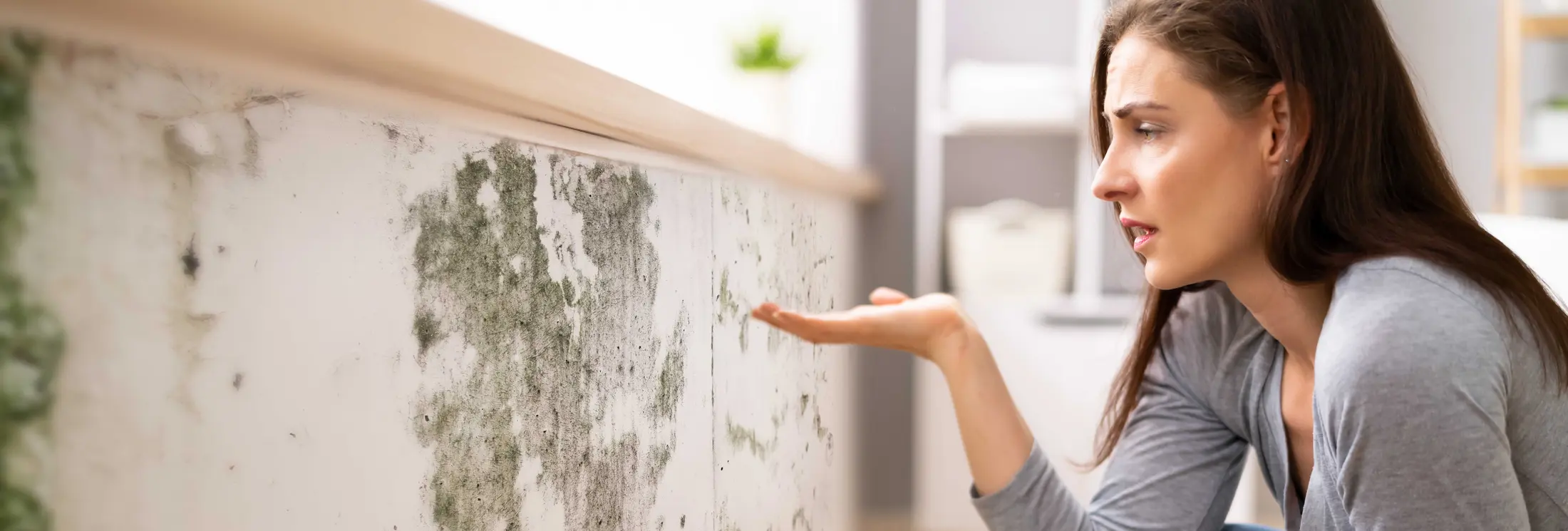 Fallrohrsanierung Essen Fallrohrsanierung Essen